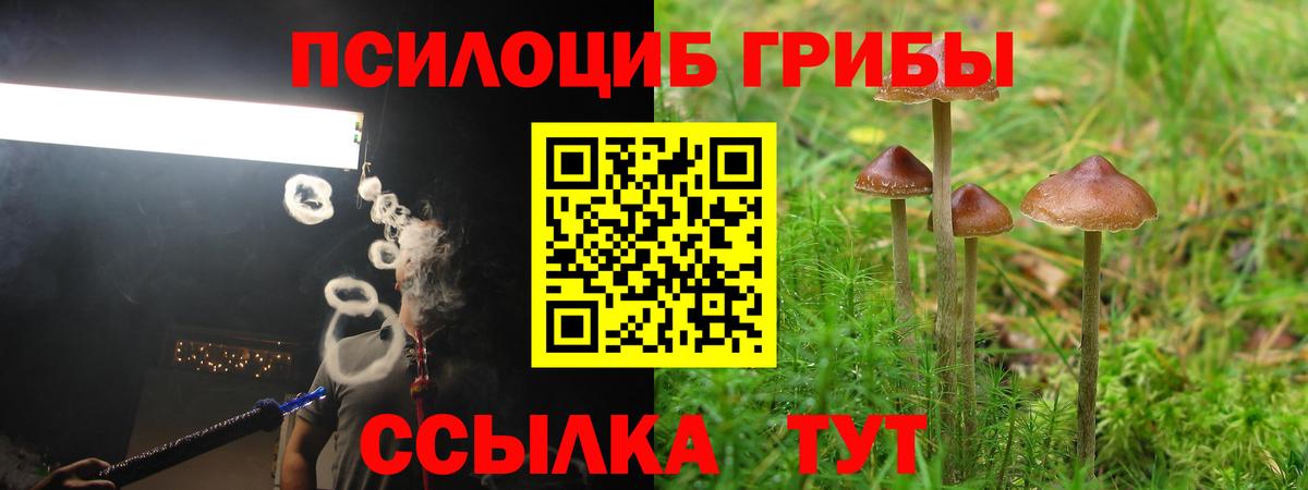 купить закладку  Вход с VPN  Мурманск  Псилоцибиновые грибы Cubensis  Галлюциногенные грибы MAGIC MUSHROOMS 